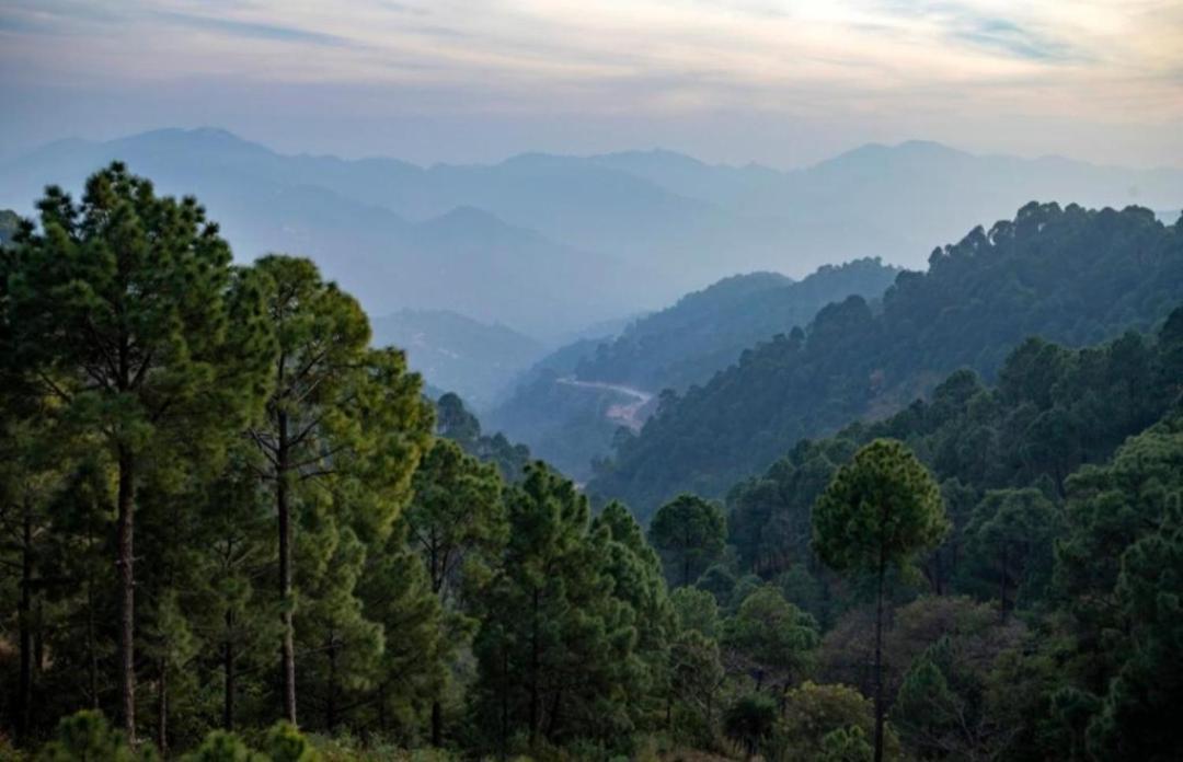 The Kasauli Western Uphills I Serviced Apartments I Pvt Balcony I Peacefull Area I By Exotic Stays Ngoại thất bức ảnh