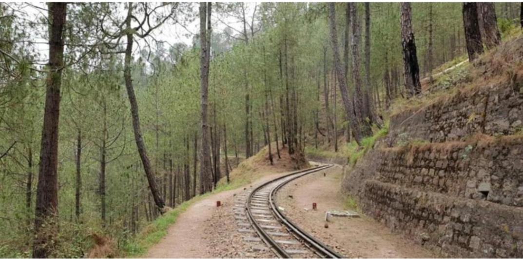 The Kasauli Western Uphills I Serviced Apartments I Pvt Balcony I Peacefull Area I By Exotic Stays Ngoại thất bức ảnh